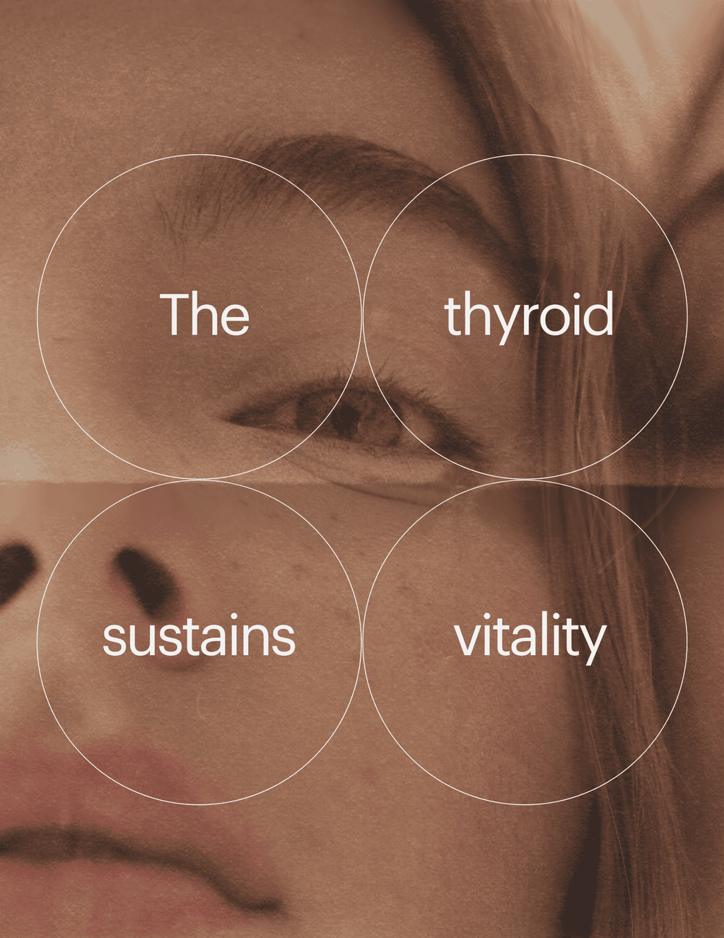 Grass-Fed Glandular Desiccated Thyroid 450 mg